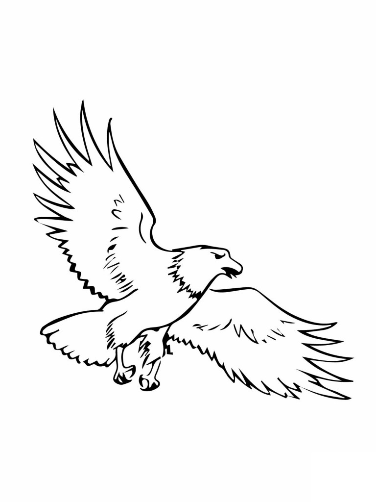Printable Bald Eagle Coloring Pages Kids Mexican