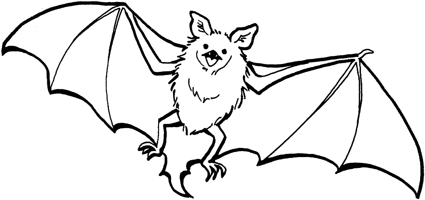 halloween bat coloring pages - photo #33