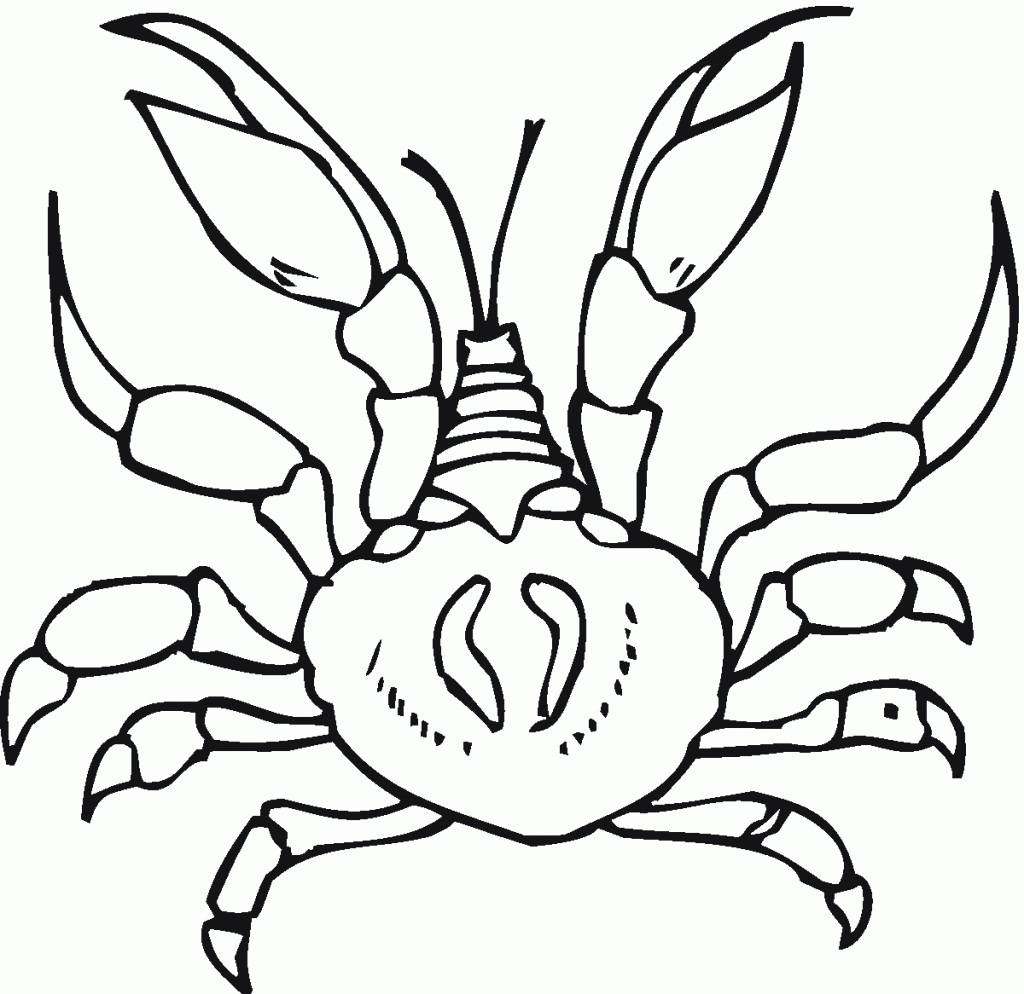 a home for hermit crab coloring pages - photo #48