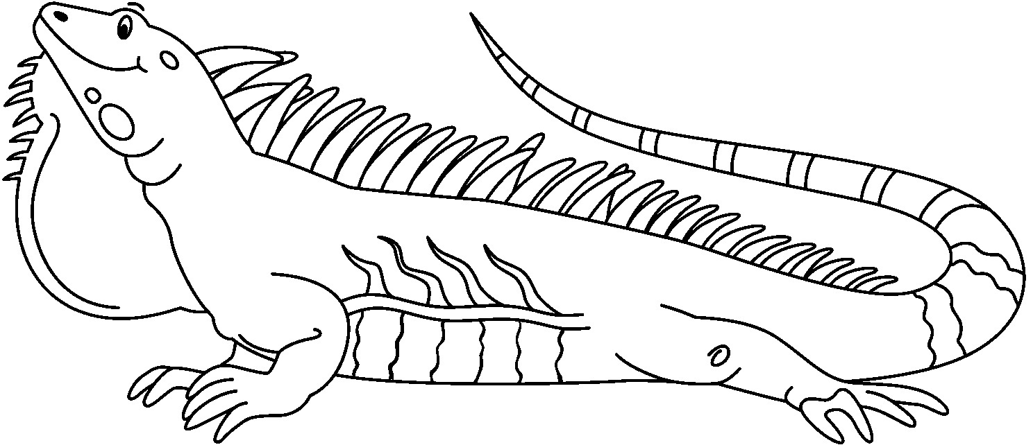 iguana coloring pages to print - photo #14