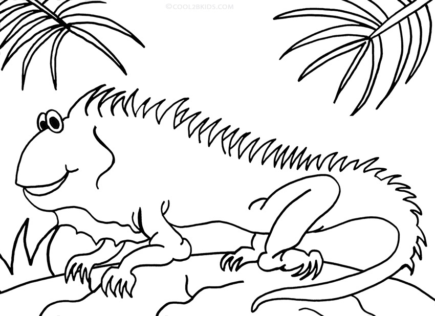 iguana coloring pages to print - photo #11