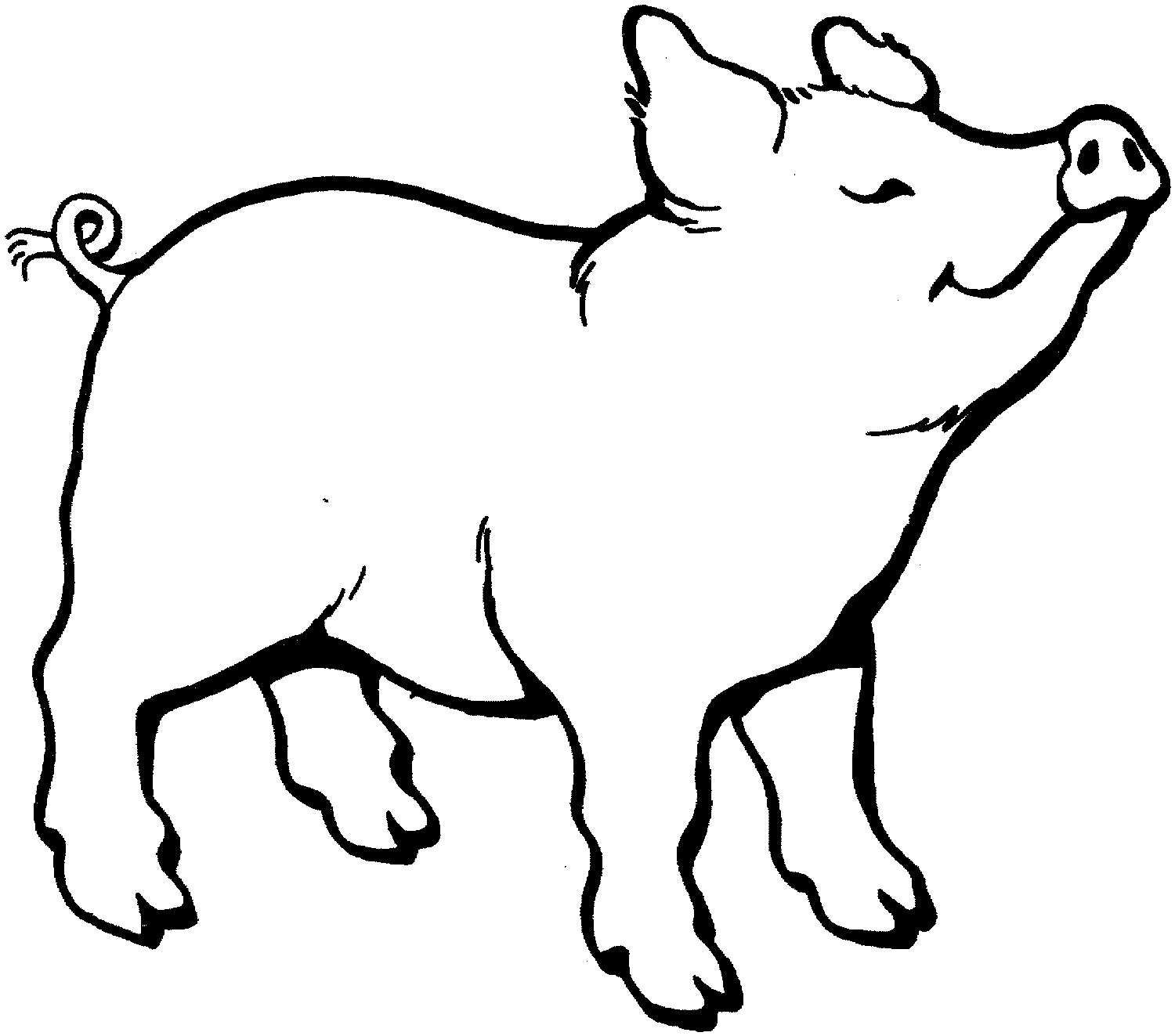 year of the pig coloring pages - photo #23