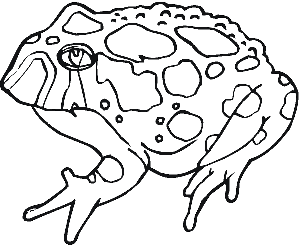 toad coloring pages - photo #11