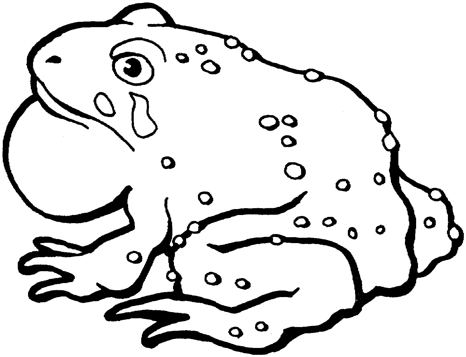 toad coloring pages - photo #6