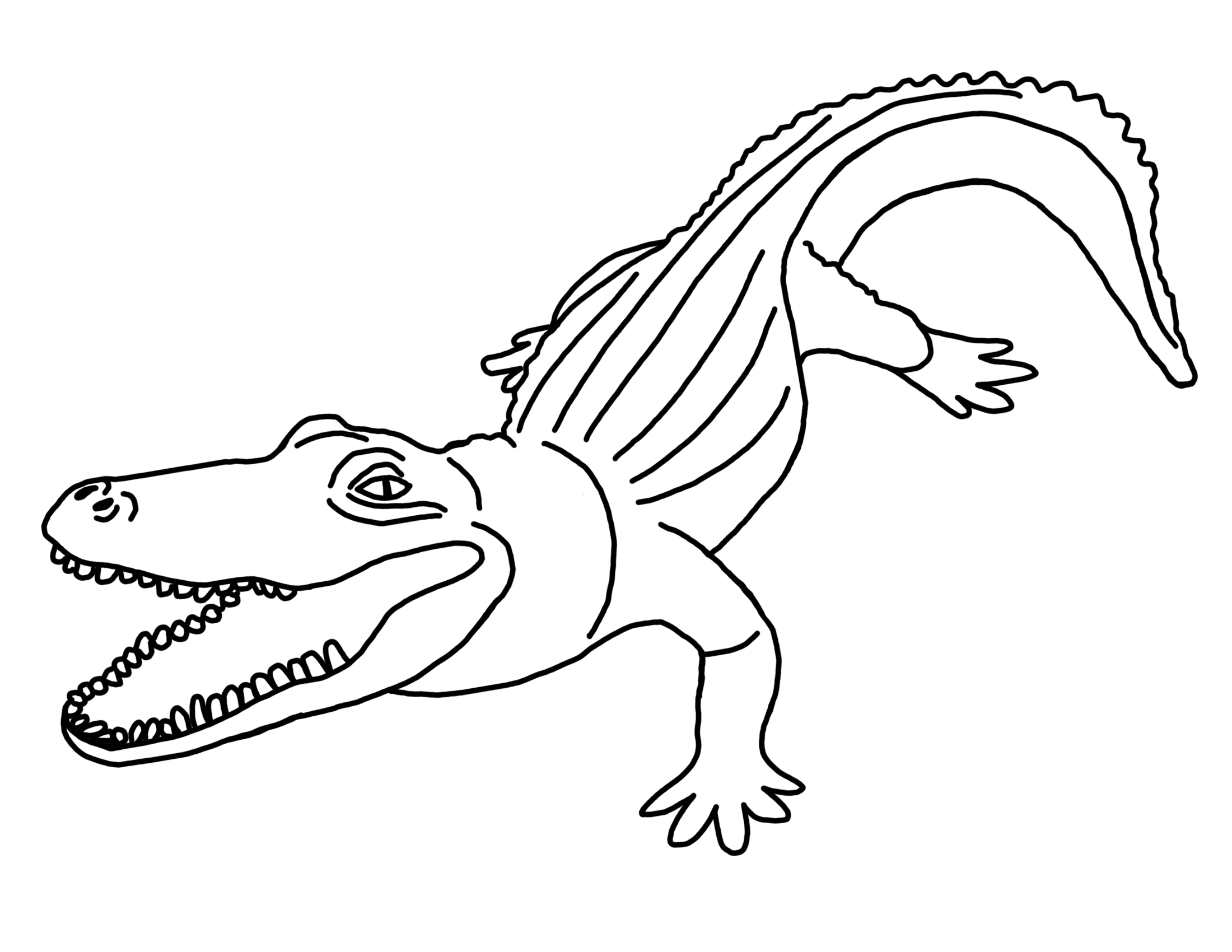 baby alligator coloring pages - photo #35