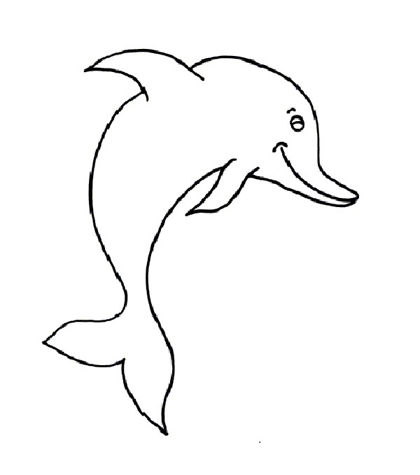 baby dolphin coloring pages - photo #13