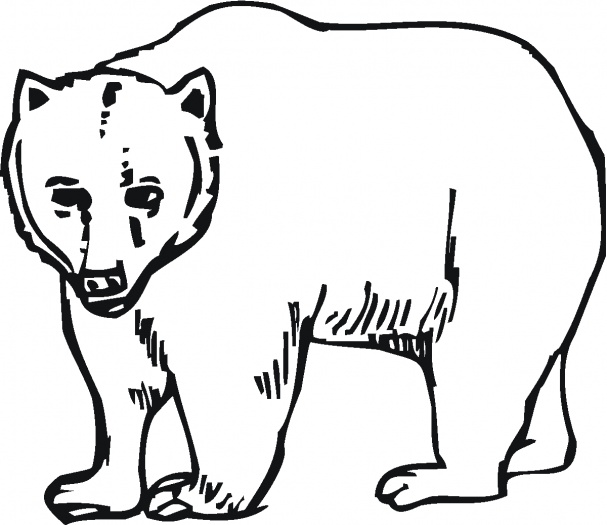 coloring pages of bears - photo #34