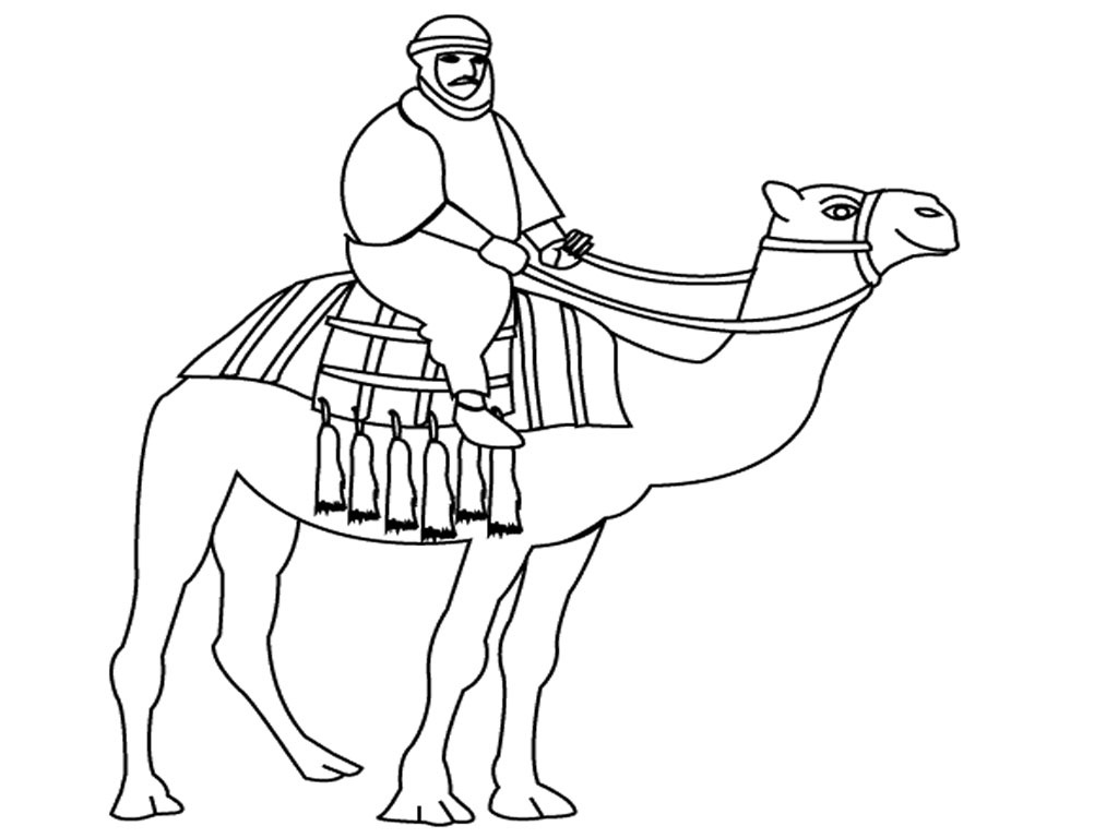camel pages for coloring - photo #39