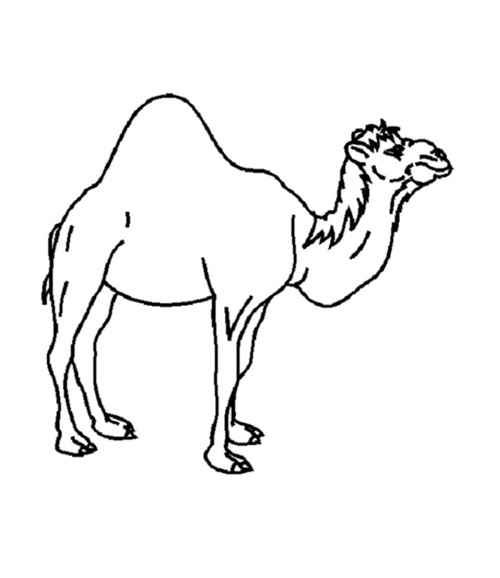 camel pages for coloring - photo #47