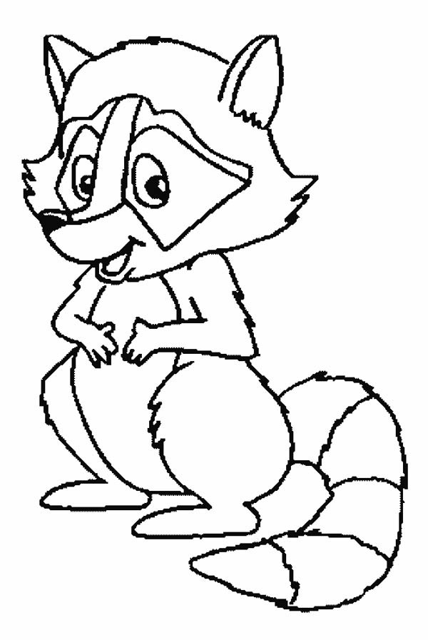 racoon in a tree coloring pages - photo #7
