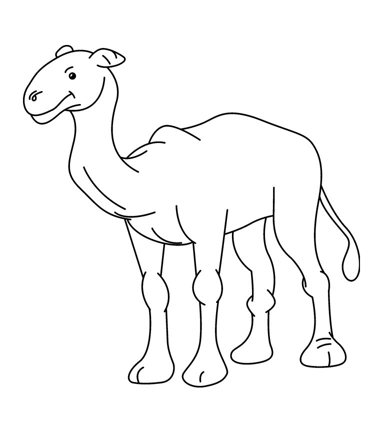 camel pages for coloring - photo #28