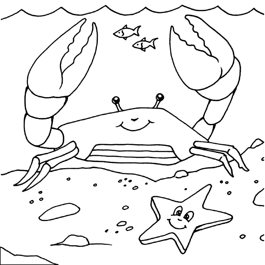 tcrab coloring pages - photo #20