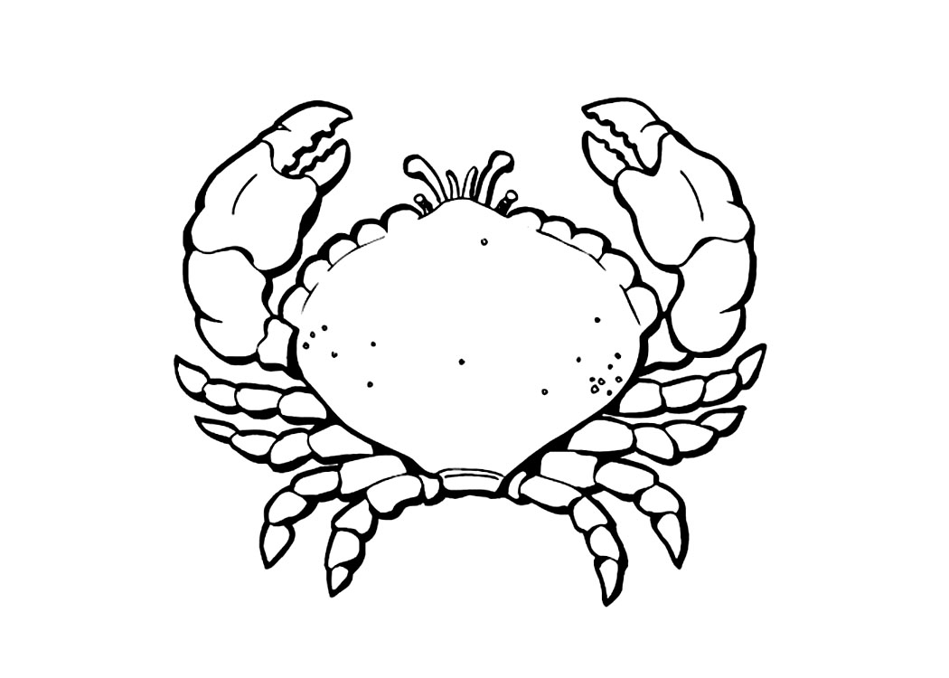 tcrab coloring pages - photo #21