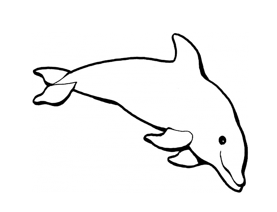 Printable Dolphin Coloring Pages