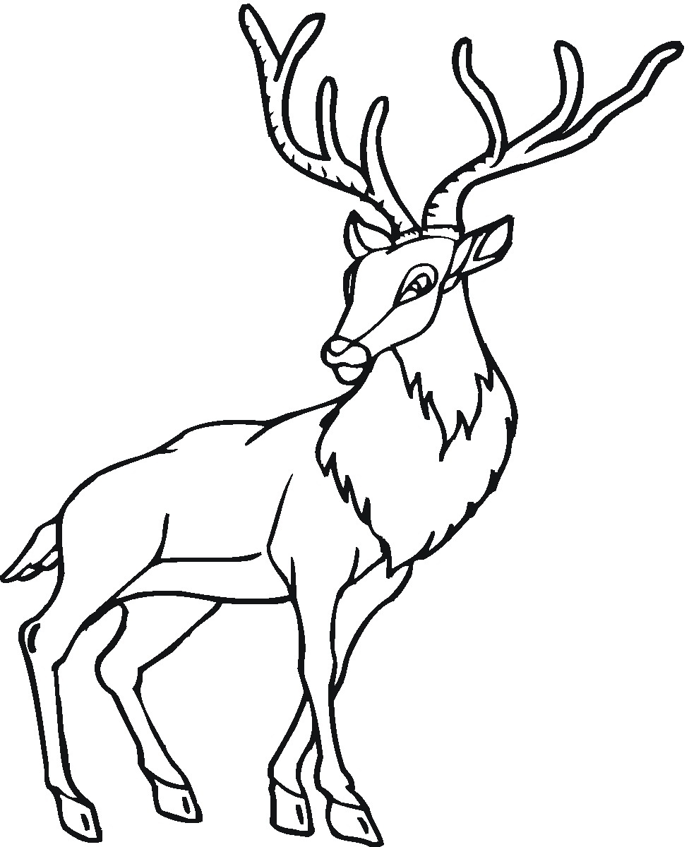 deers coloring pages - photo #25