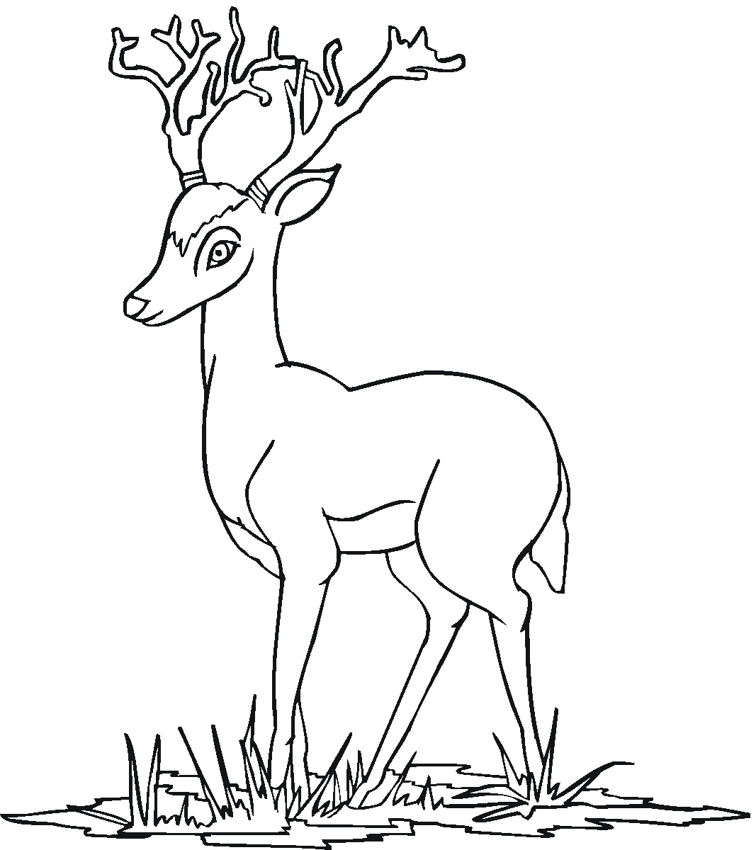 deer head coloring pages - photo #31