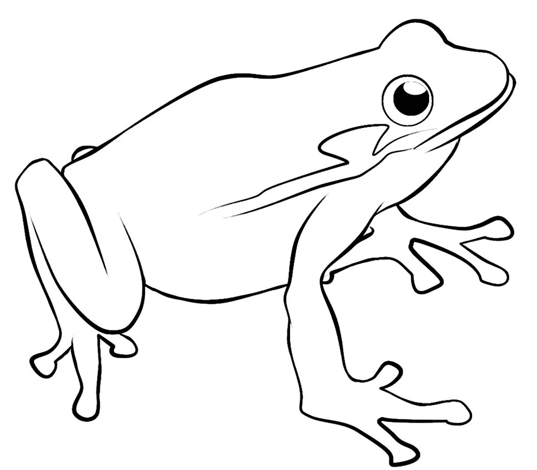 Frog Coloring Sheets
