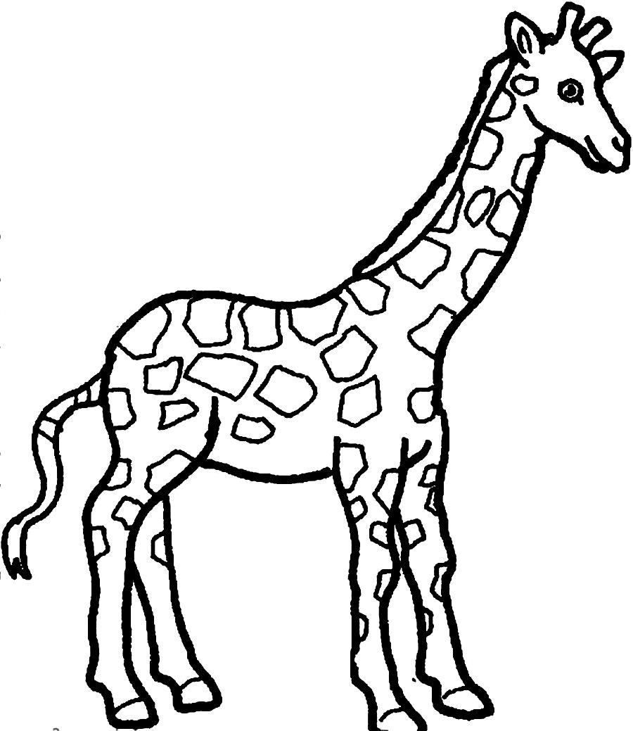 giraffe coloring pages to print out - photo #4