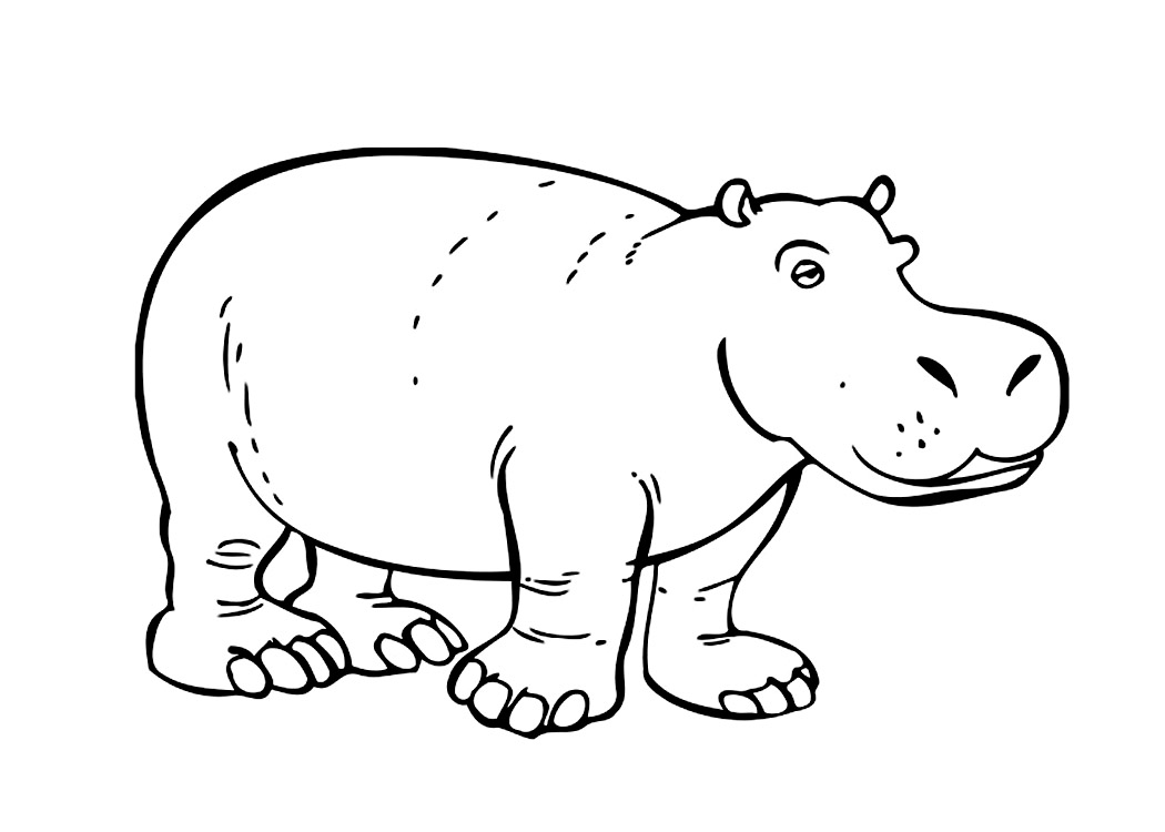h is for hippo coloring pages - photo #42