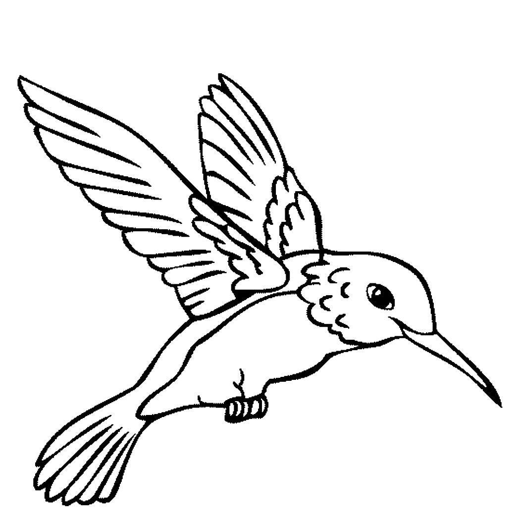 free hummingbird clipart black and white - photo #41