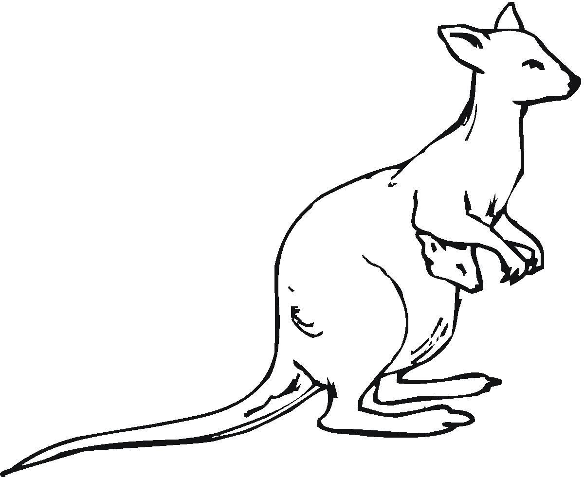 kangroo coloring pages - photo #13