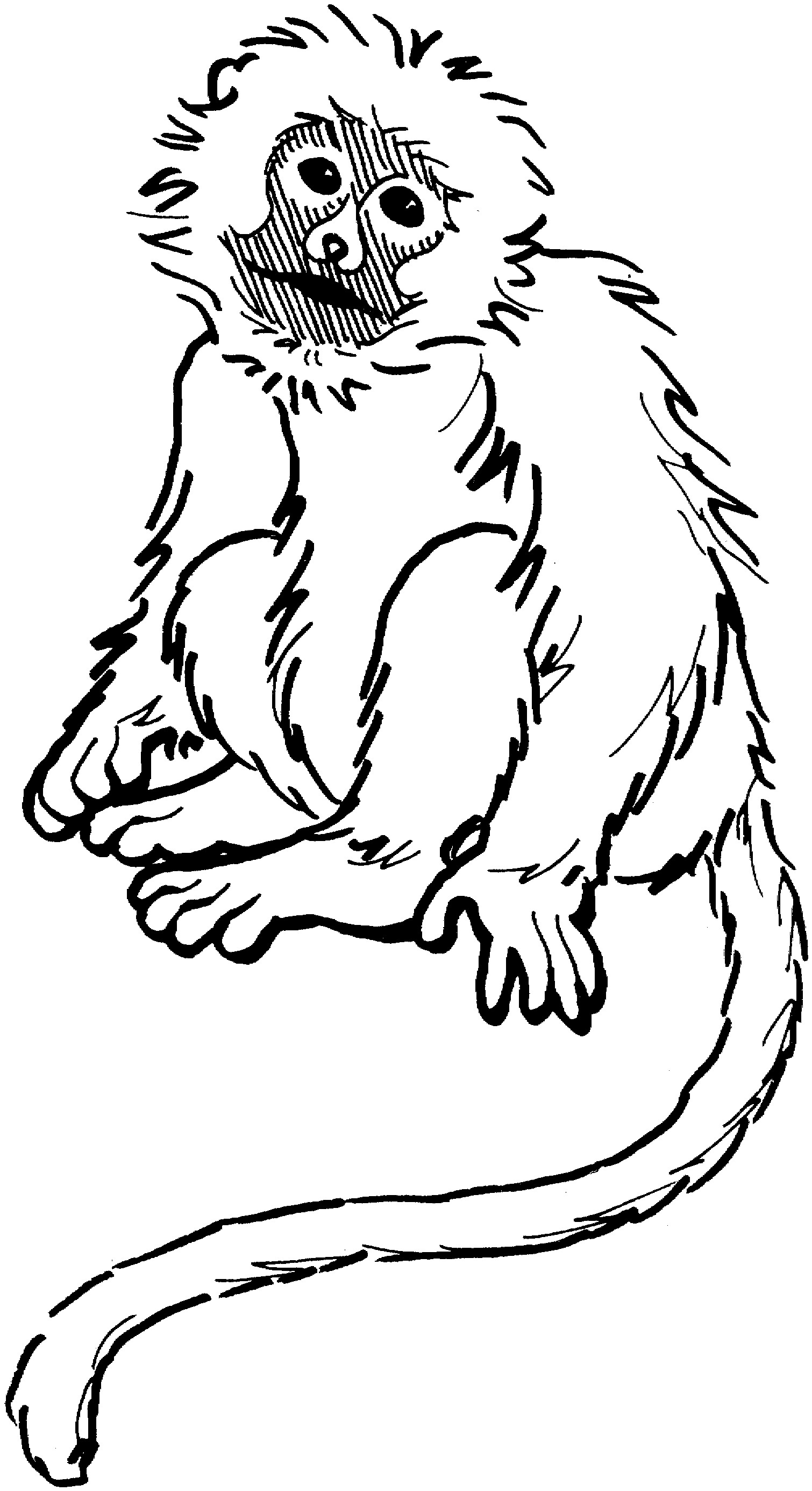 baboon coloring pages - photo #40
