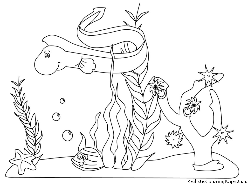 ocean creatures coloring pages free - photo #48