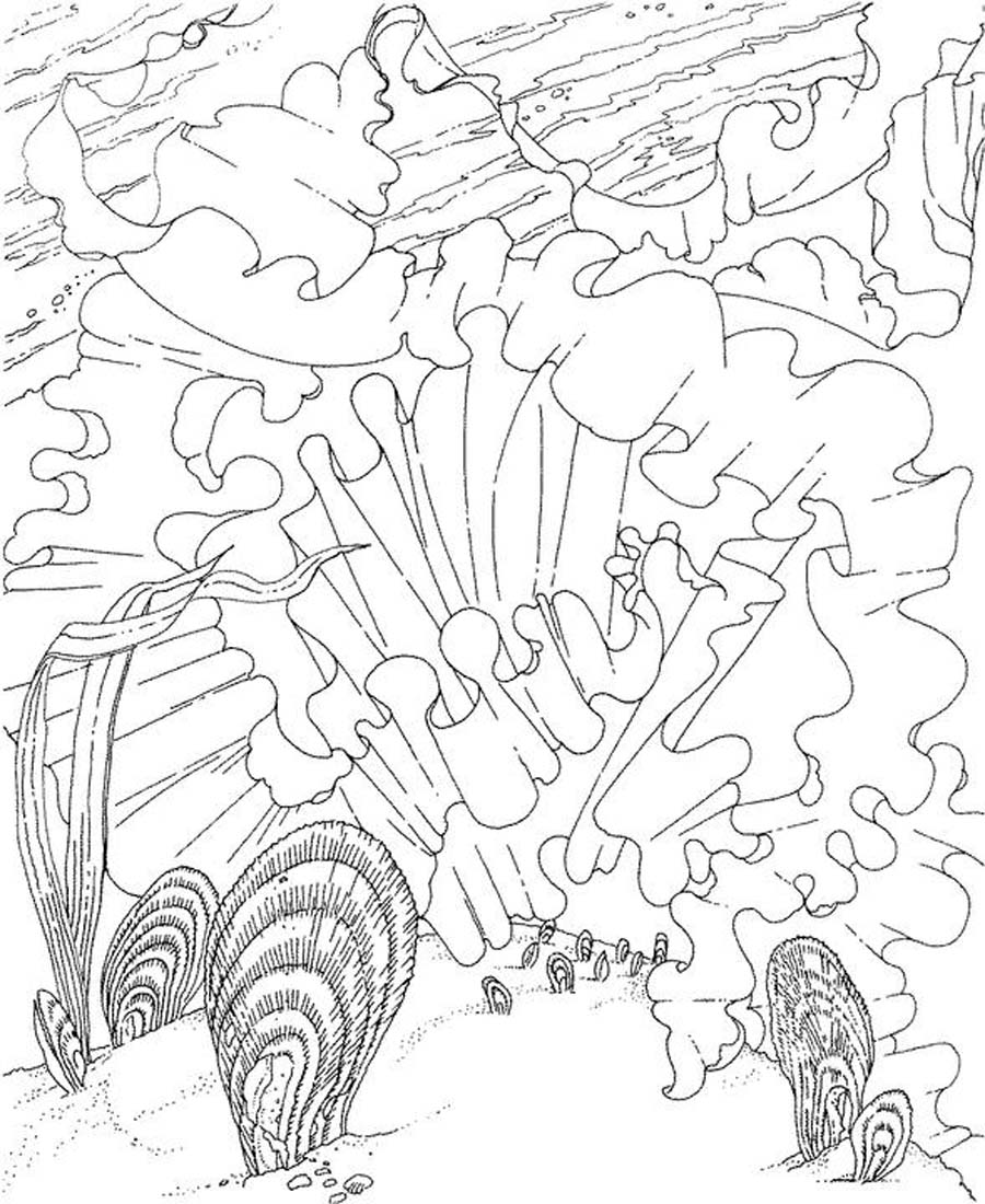 ocean coloring pages colored - photo #31