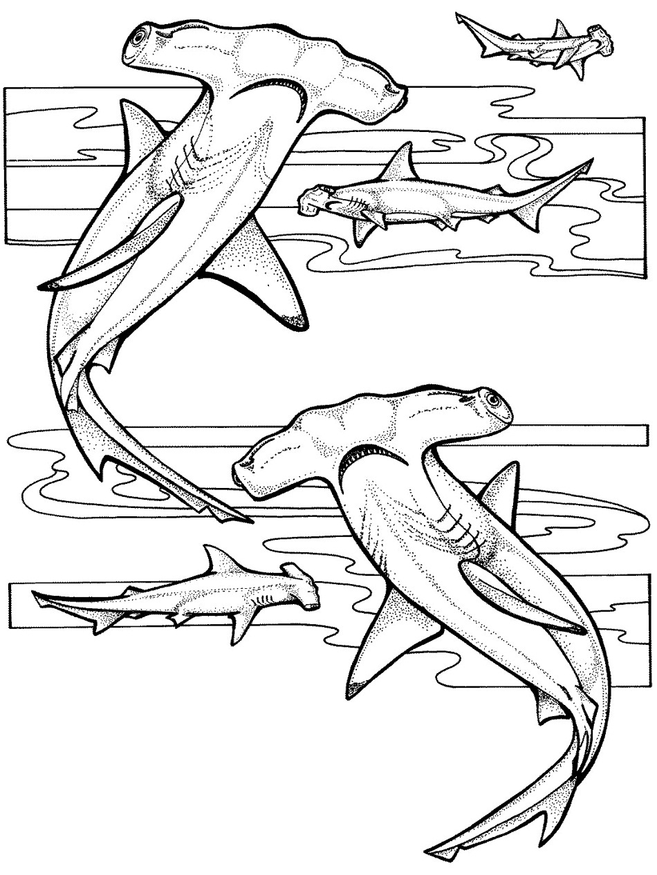 ocean habitat coloring pages for kids - photo #31