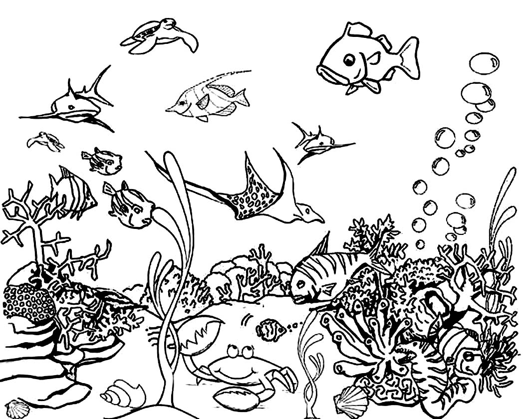 ocean coloring pages colored - photo #3