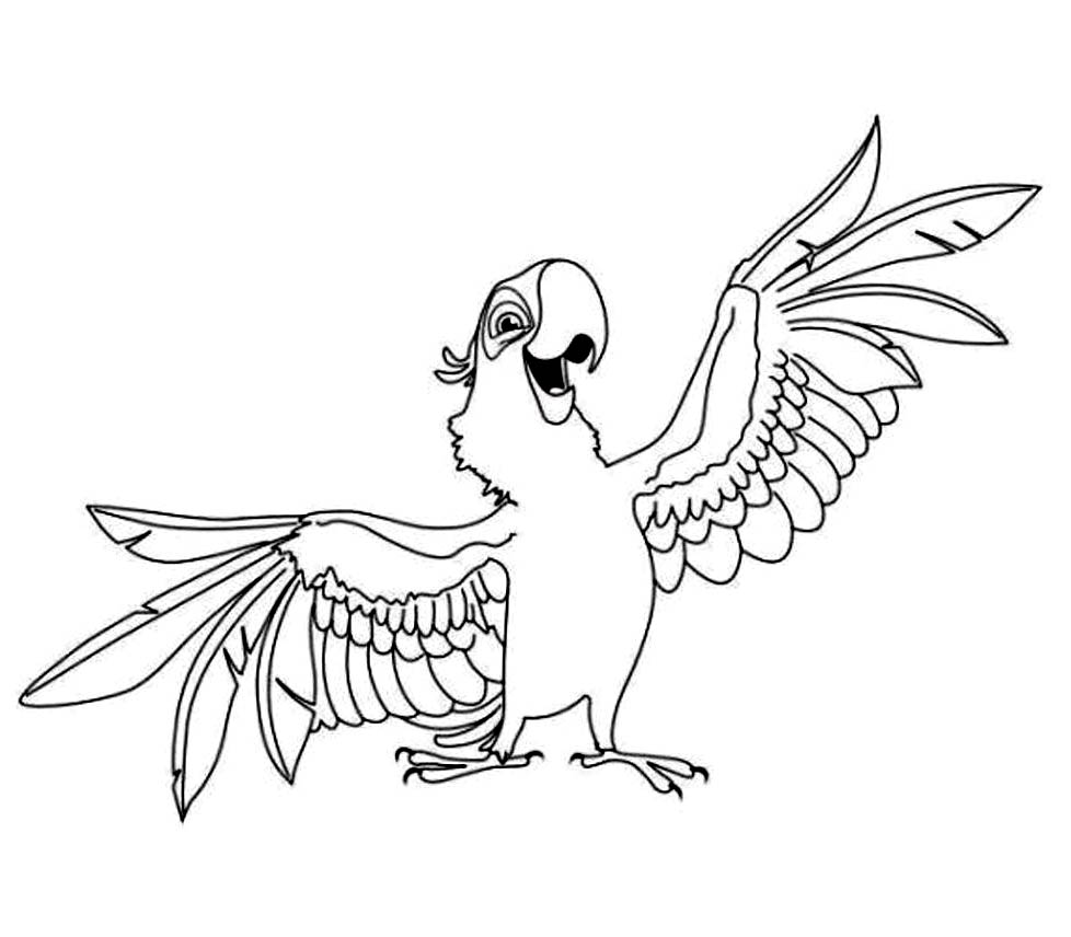 macaw bird coloring pages - photo #9