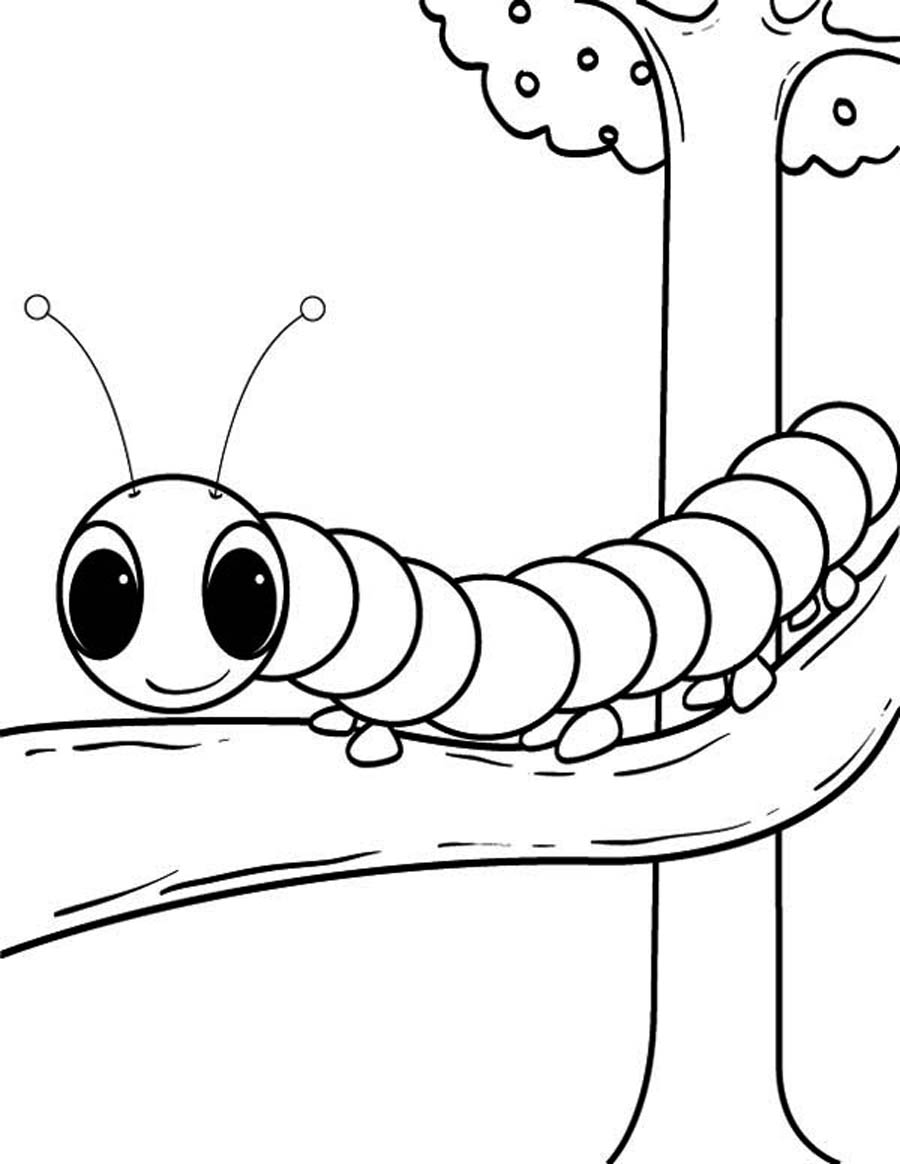 Caterpillar Coloring Pages - Kidsuki