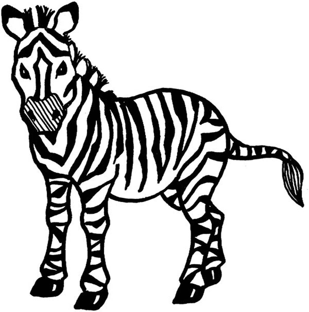 zebra coloring book pages - photo #20
