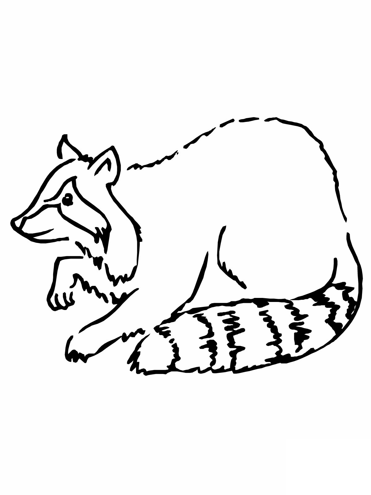 raccoon mask coloring pages - photo #26