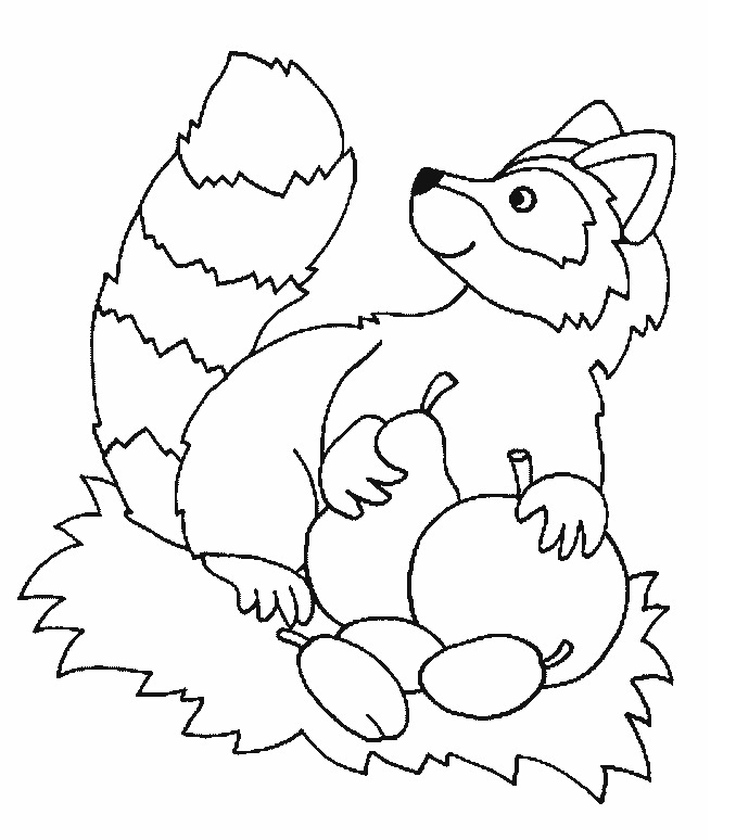 racoon in a tree coloring pages - photo #26