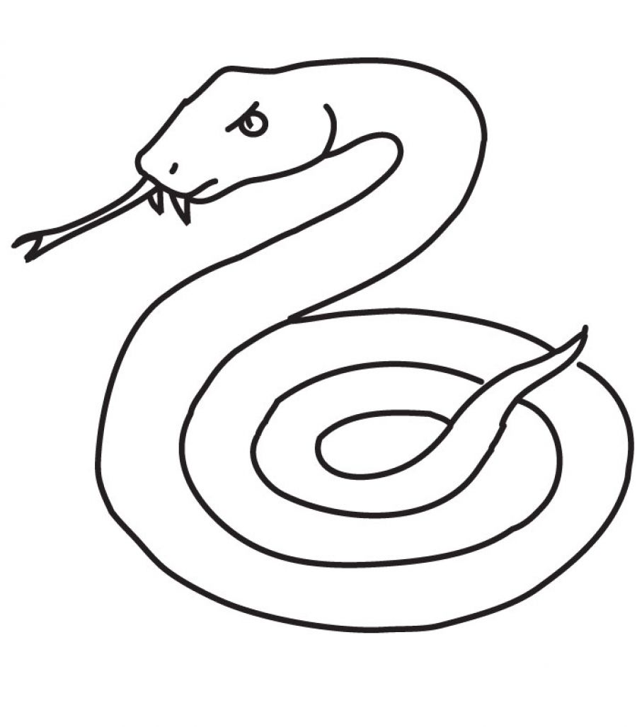 a to z reptile coloring pages - photo #49