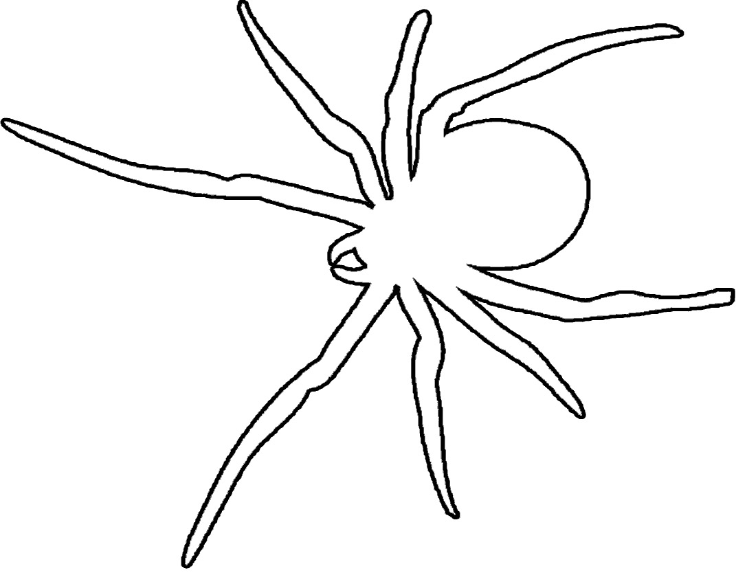 tarantule coloring pages - photo #19