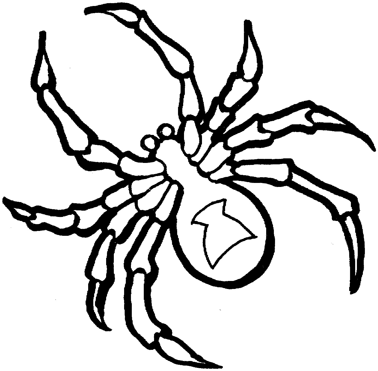 Spider Coloring Pages - Kidsuki
