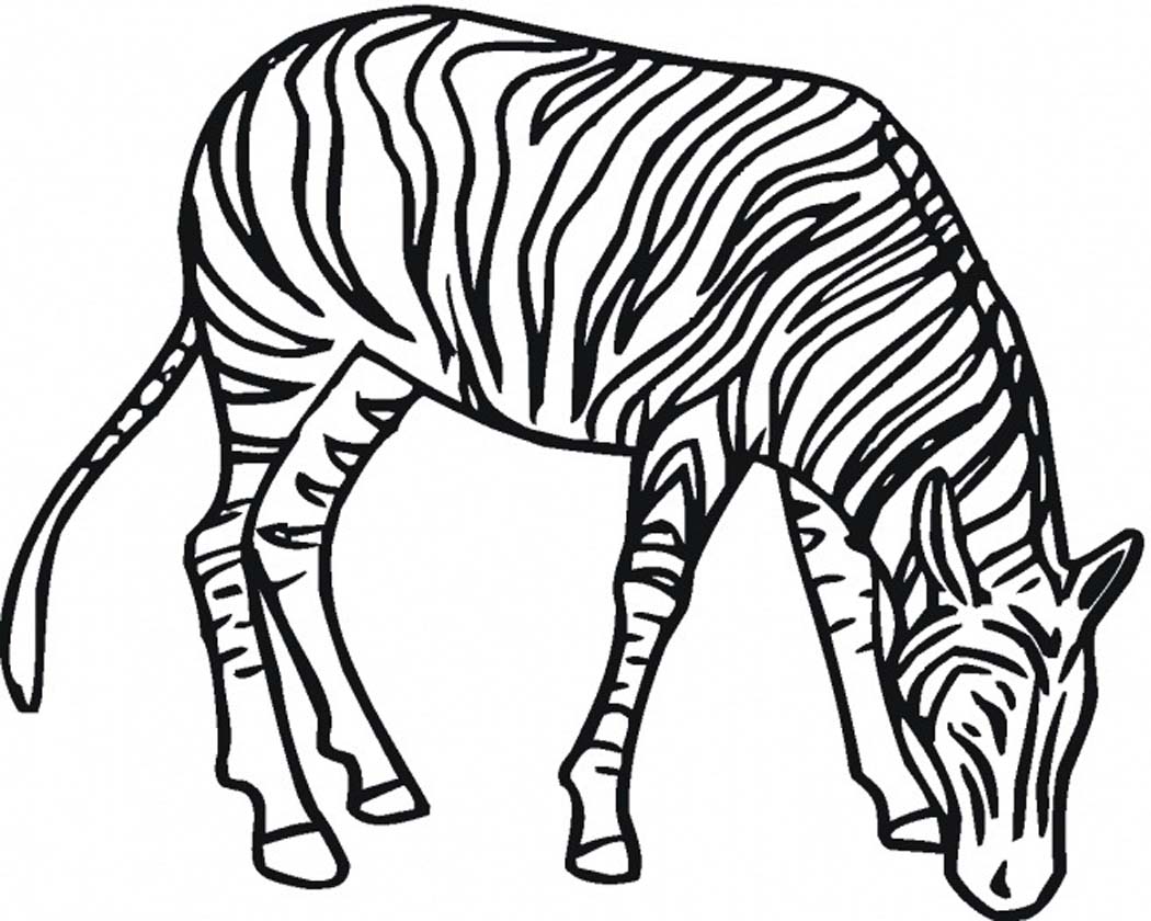 zebra coloring pages - photo #31