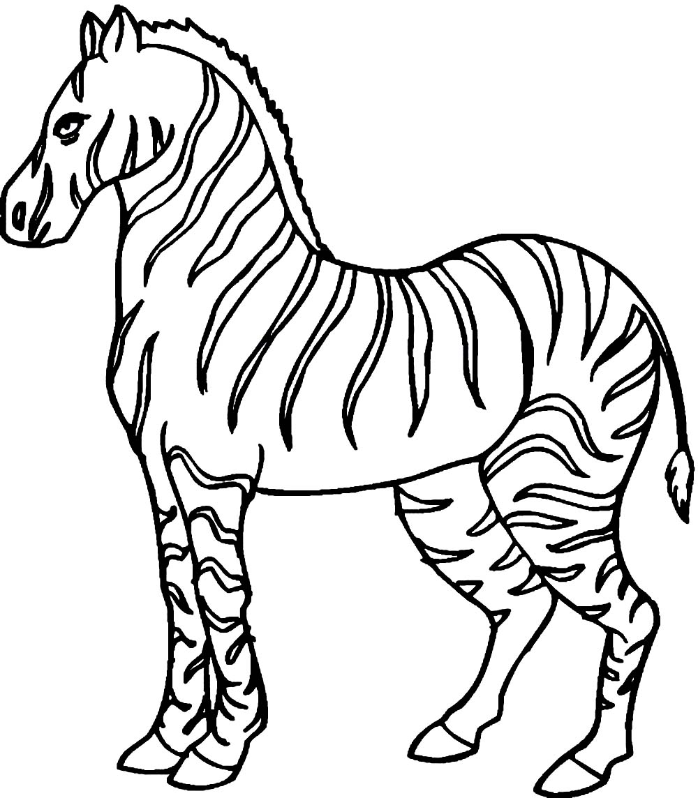 zebra coloring pages for preschoolers - photo #24