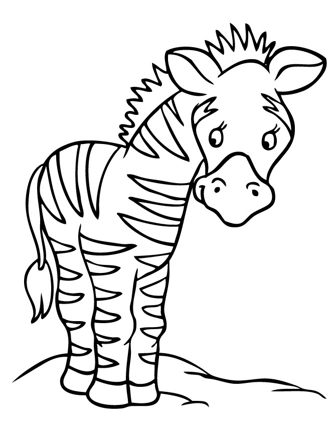 zebra coloring pages free - photo #46