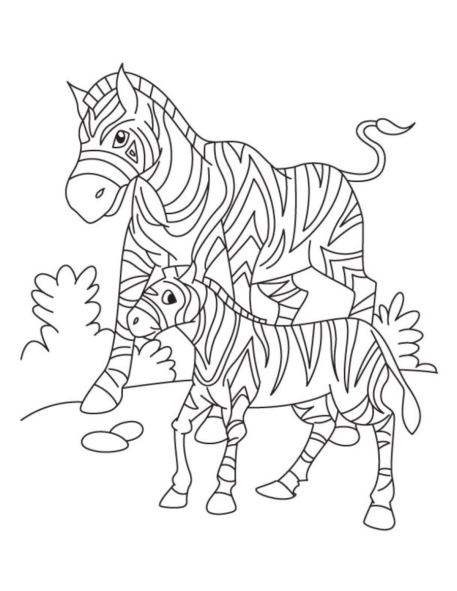 zebra full page coloring pages - photo #37
