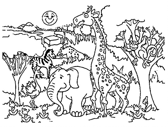 zoo images for coloring pages - photo #28