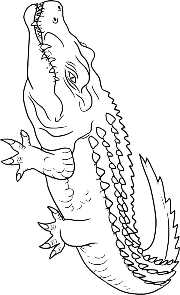 printable coloring pages crocodile - photo #28