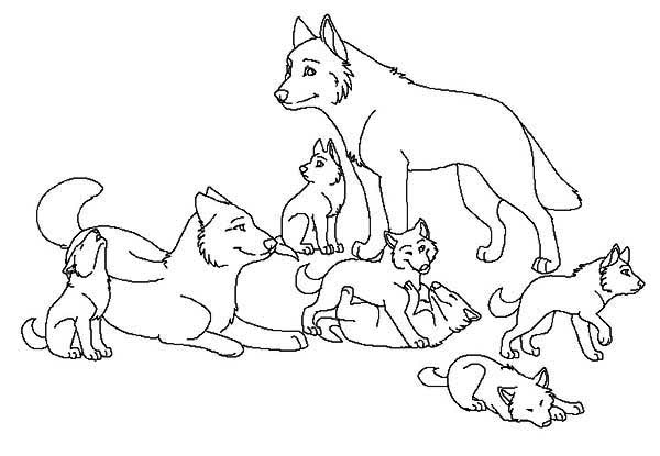 Printable Wolves Coloring Pages Cute
