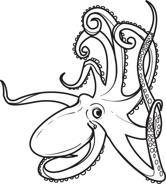 octopus coloring book pages - photo #34