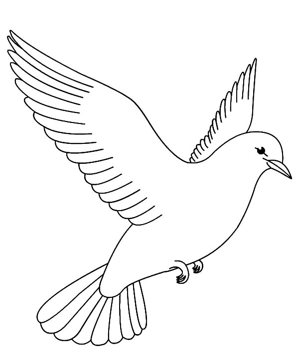 kids coloring pages birds - photo #17