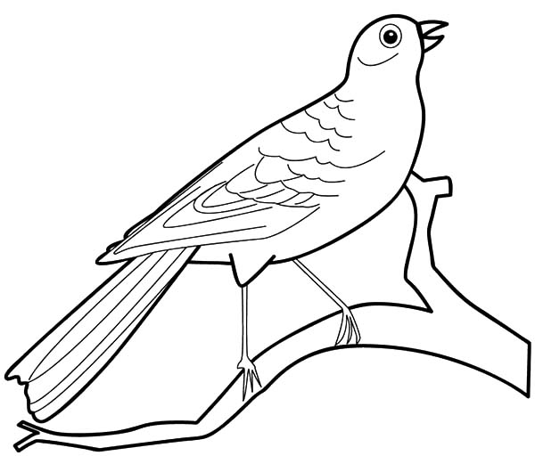 kids coloring pages birds - photo #31
