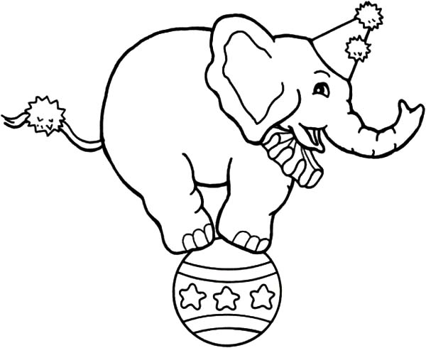 baby circus animals coloring pages - photo #16