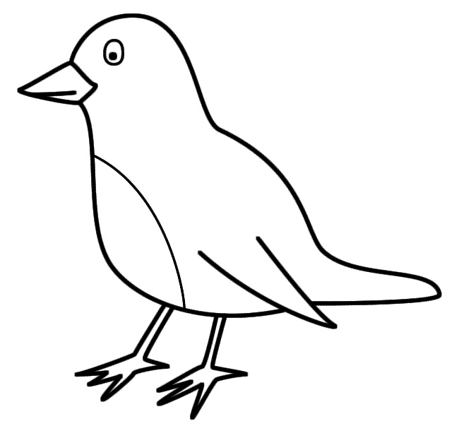 images of birds for coloring pages - photo #45